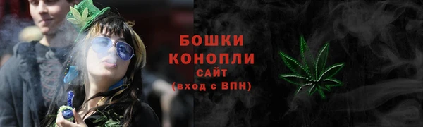 амф Арсеньев