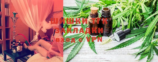 амф Инсар