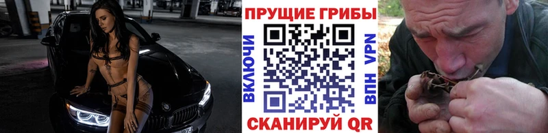 Купить закладки  Аргун  Псилоцибиновые грибы Psilocybe 